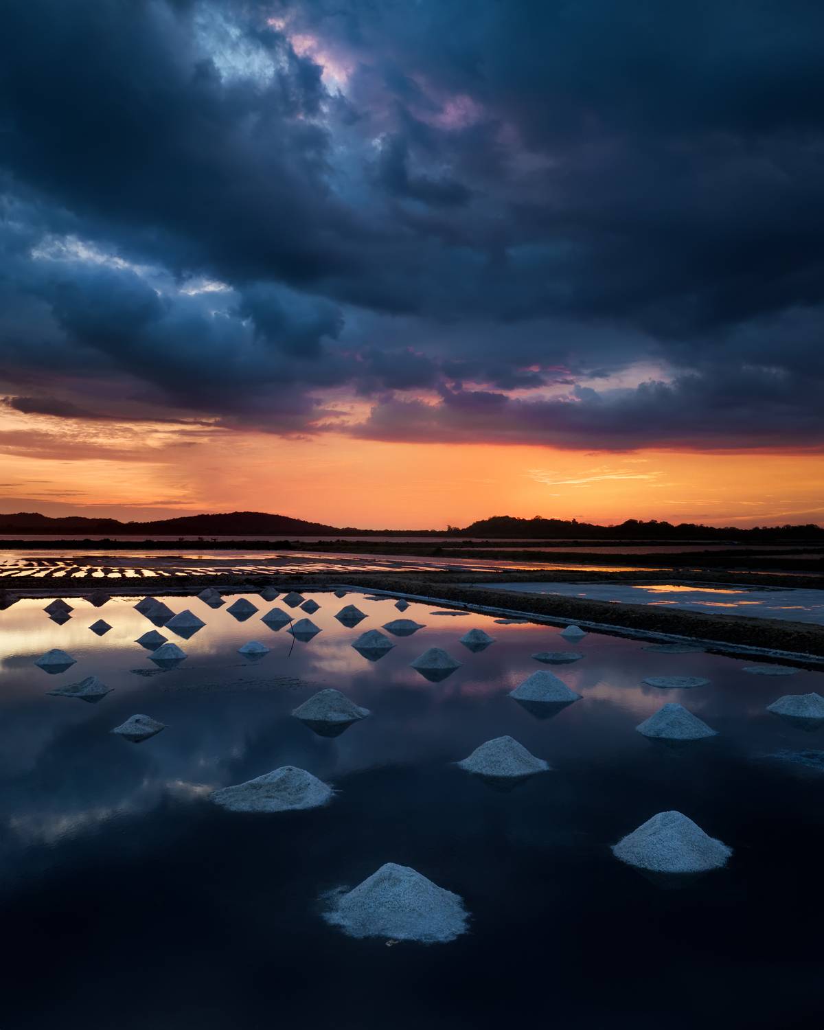 Фотография #10575065