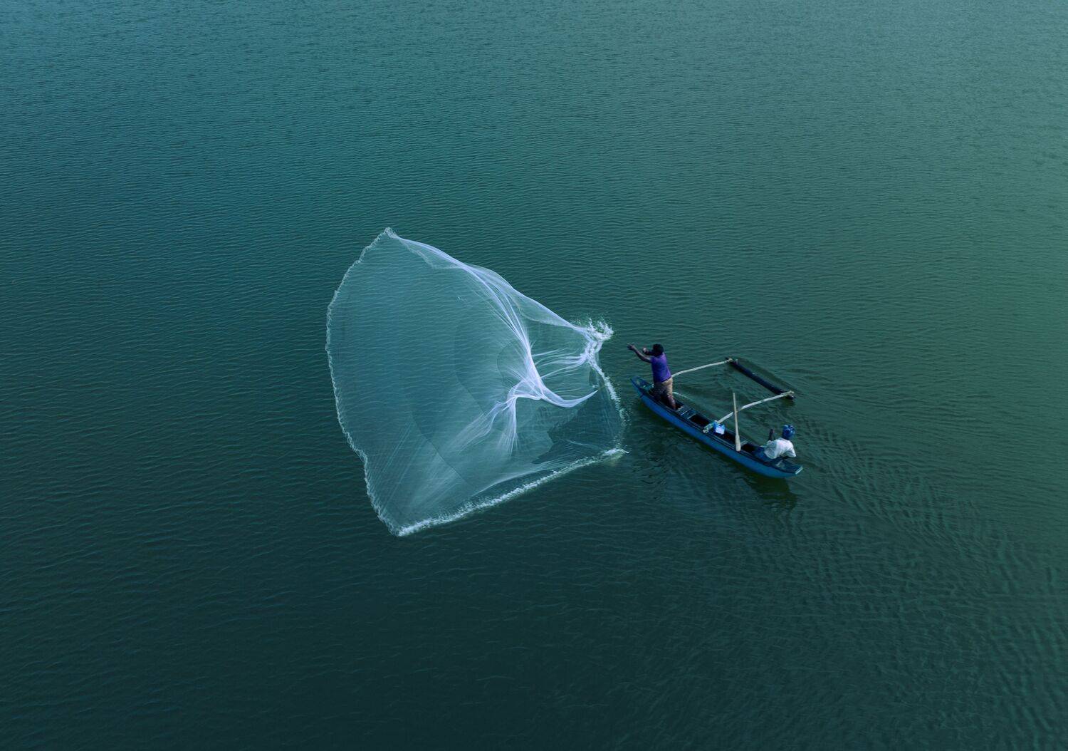 Фотография #10575077