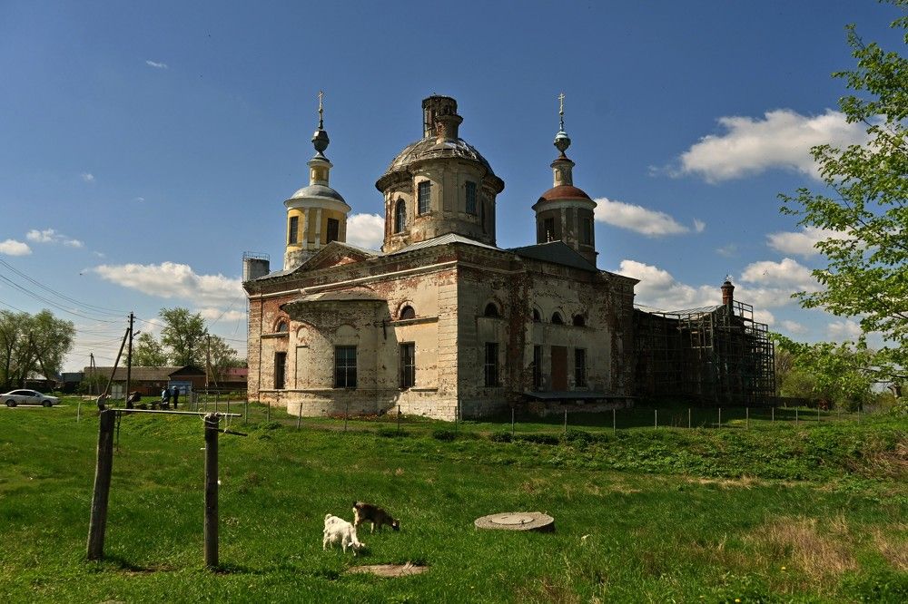 Фотография автора IRINA FILIPPOVA