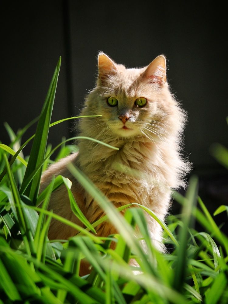 Photograph by Штунь Татьяна