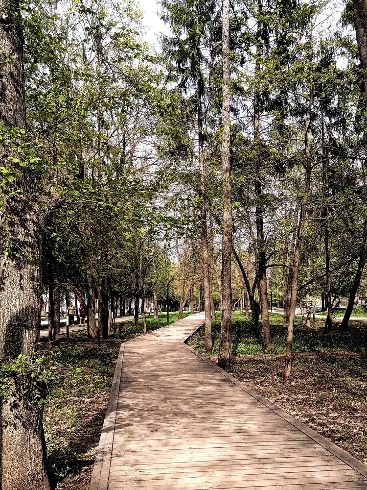 Photograph by Даяна