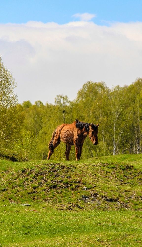 Photograph by Любовь Замятина