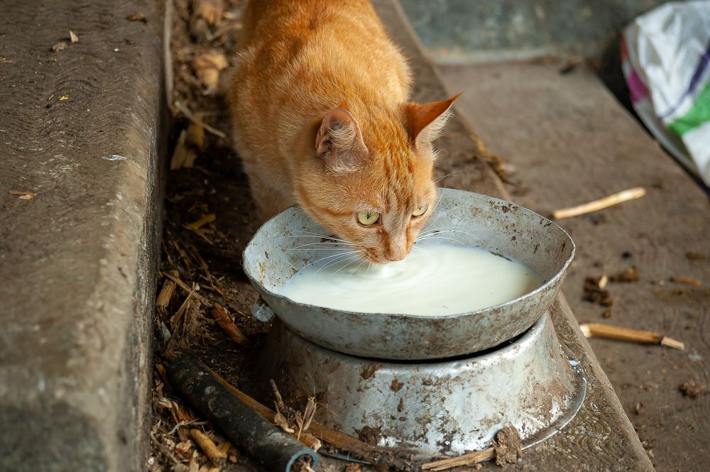 Photograph by Armando López-Guerrero