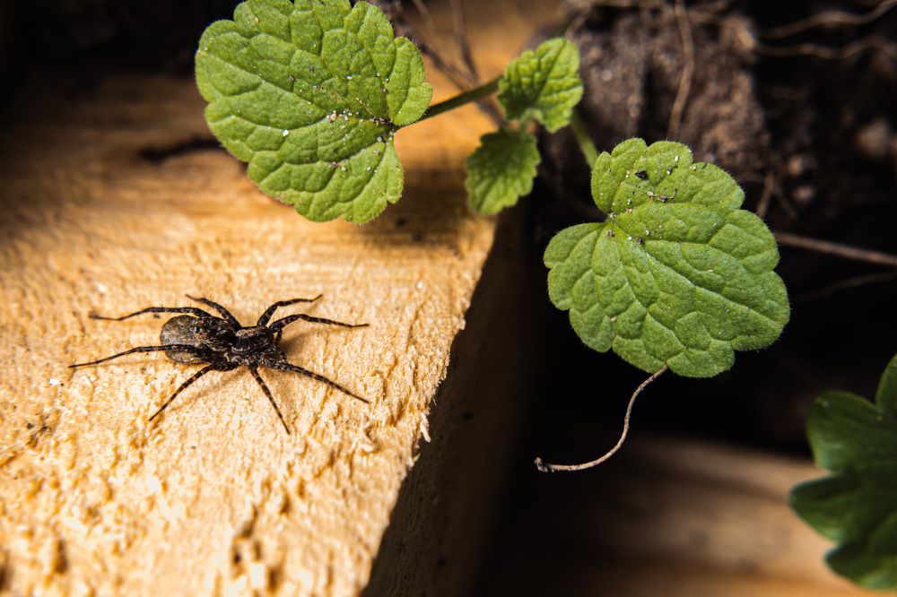 Photograph by Мария Федорова