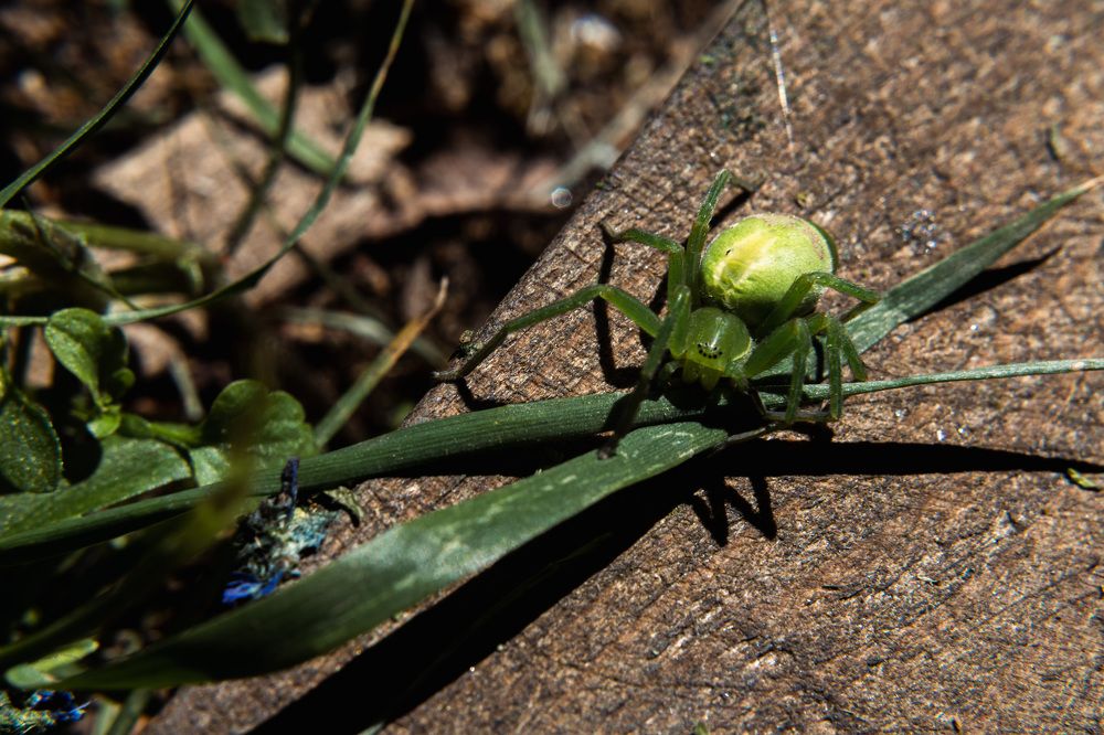 Photograph by Мария Федорова