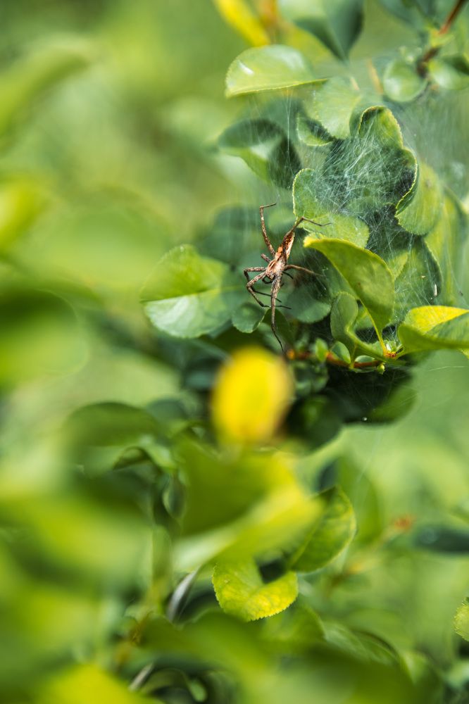 Photograph by Мария Федорова