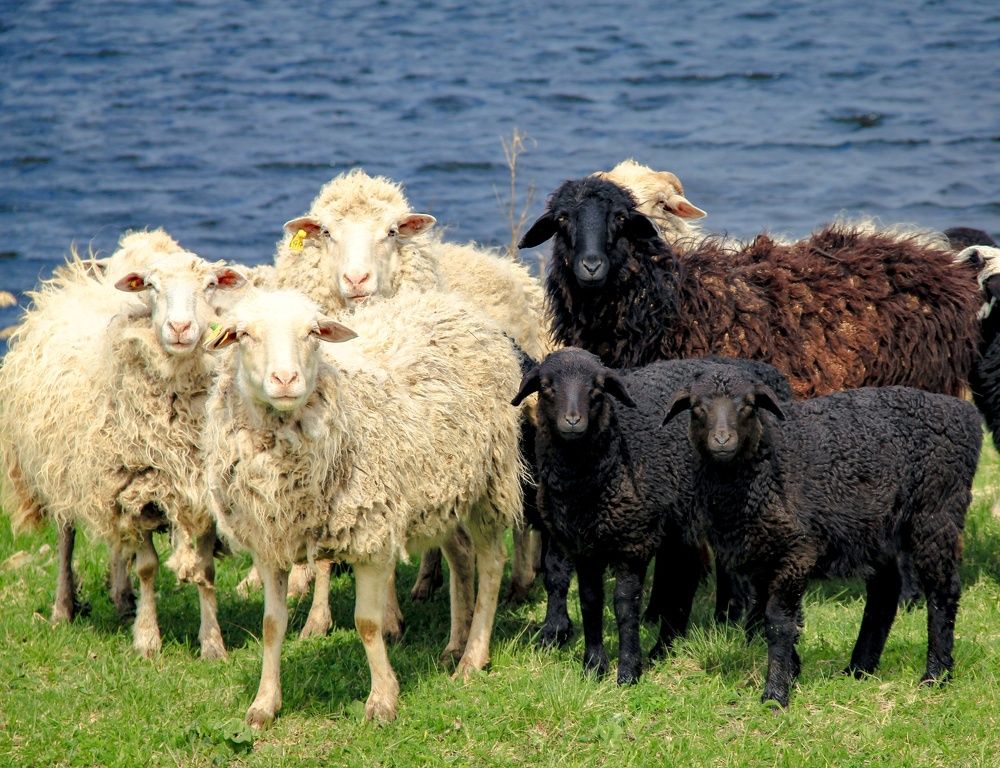 Photograph by Любовь Замятина