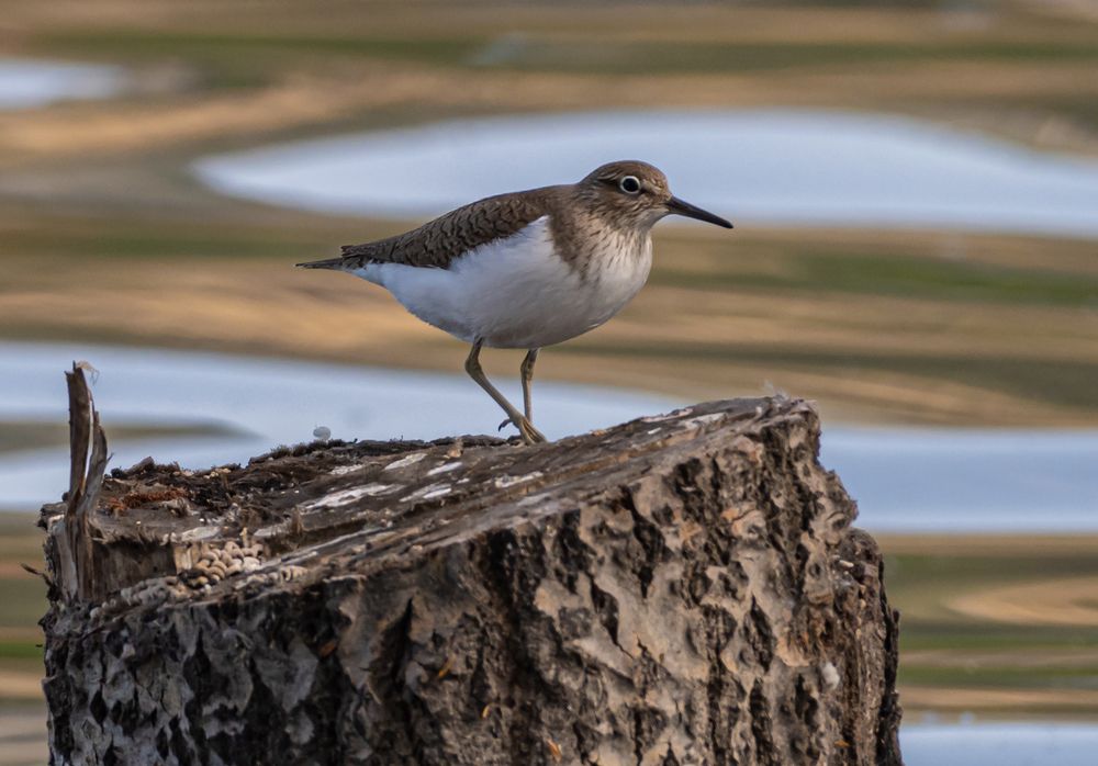 Photograph by Савчук Сергей