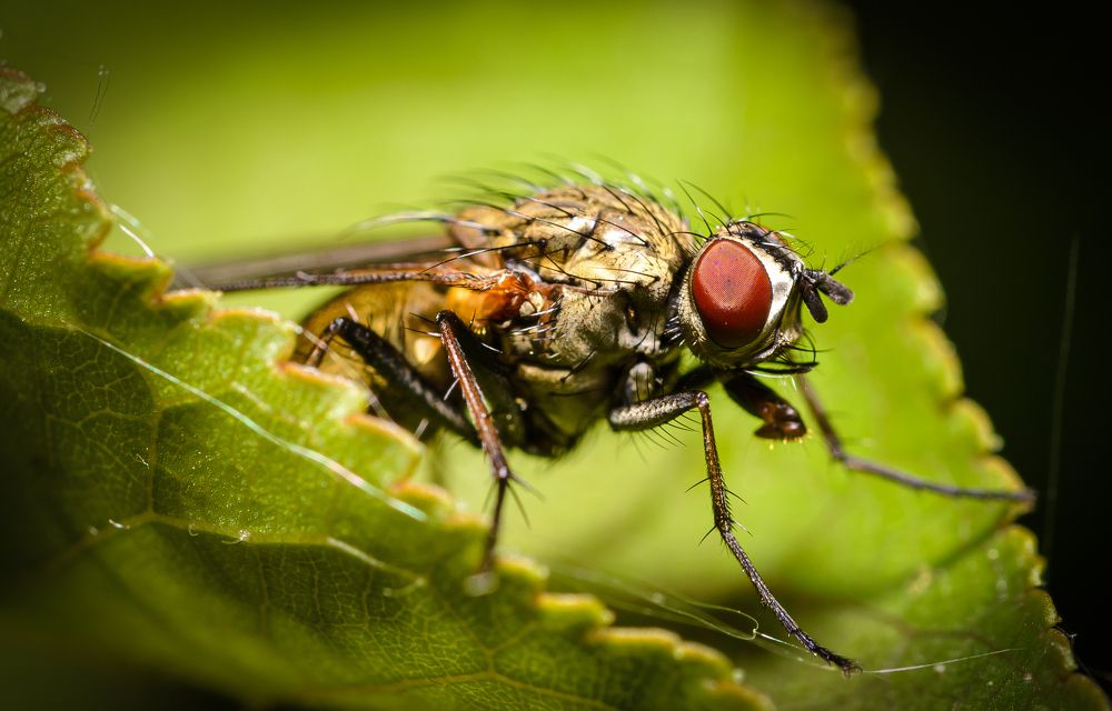 Фотография автора Юрий