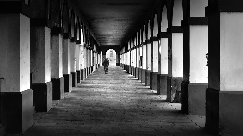 Фотография автора Helio Cucato Júnior