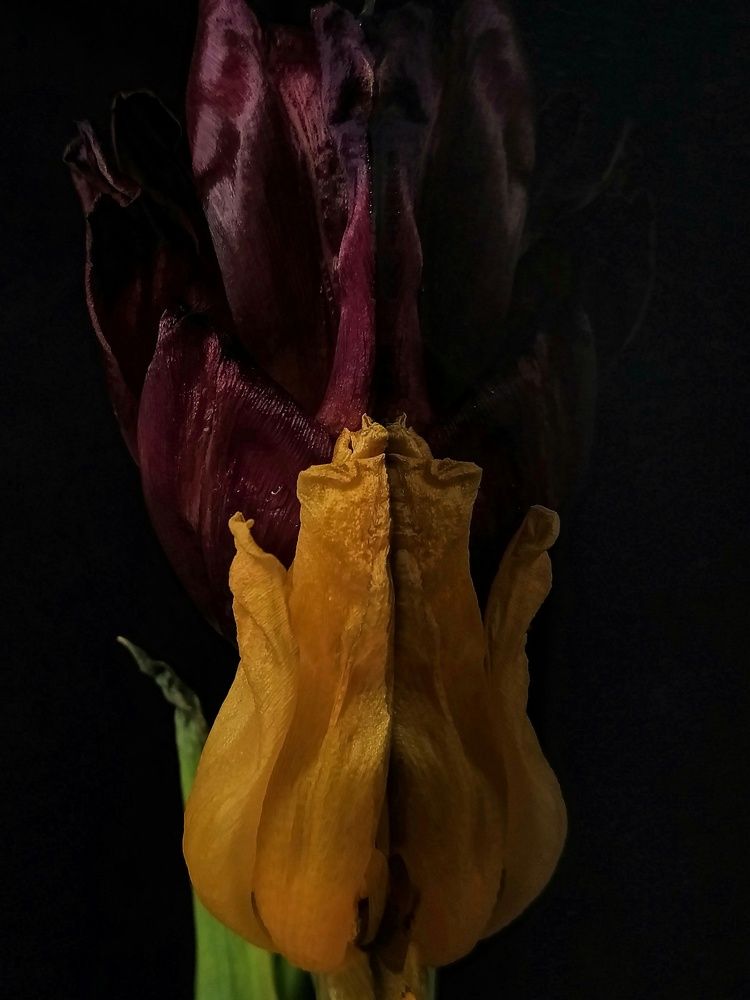 Photograph by Ludmila Yemeliyanchykova