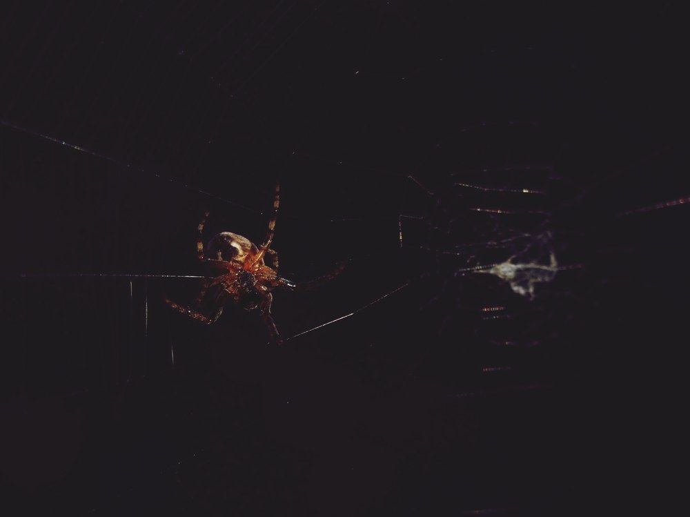 Photograph by Илья Медведев