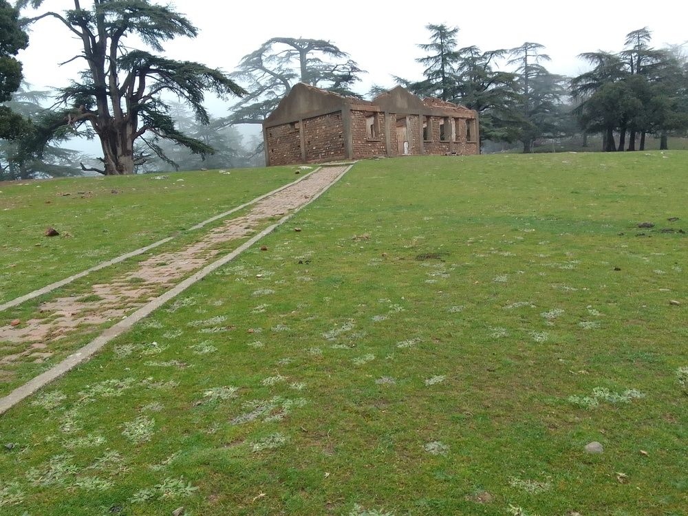 Photo #10575548