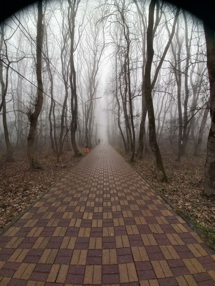 Photograph by Елена Маслова