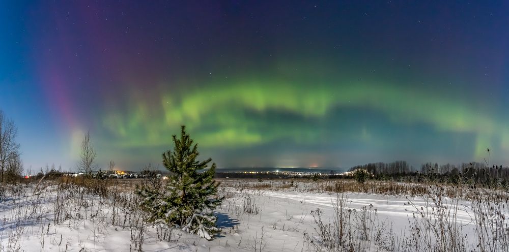 Фотография автора Панагушин Сергей