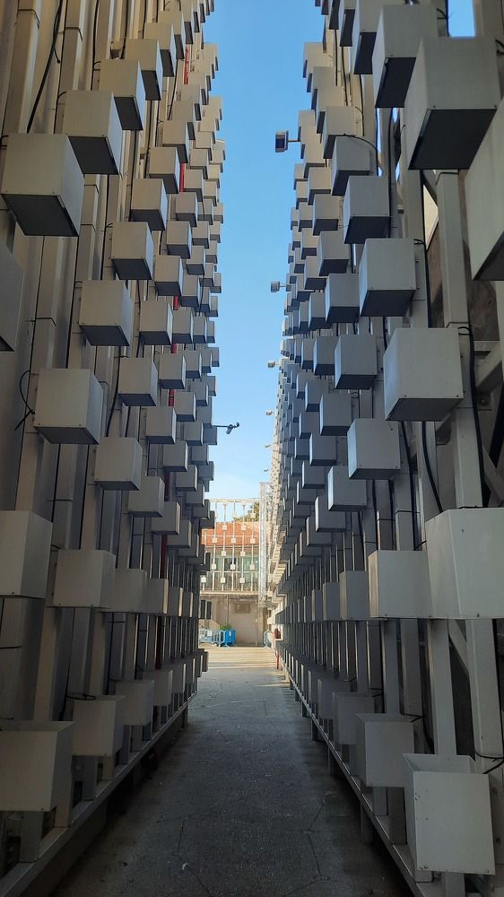 Фотография автора Anabela Maria Lima da Silva