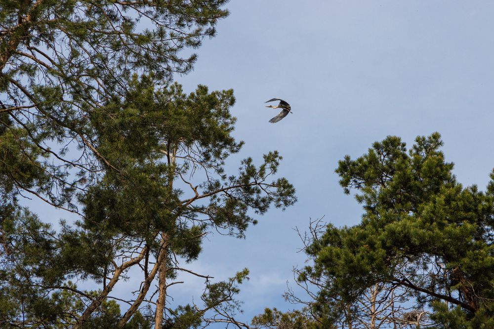 Photograph by Сергей Щербаков