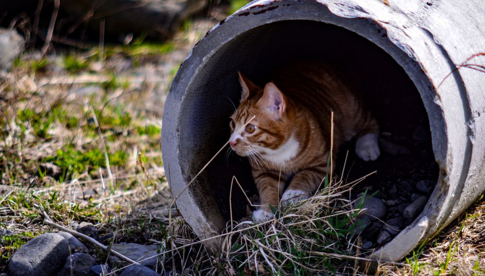 Photograph by Yrii Usoltsev