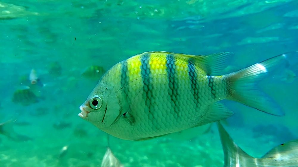 Photograph by Nora Cheprasova