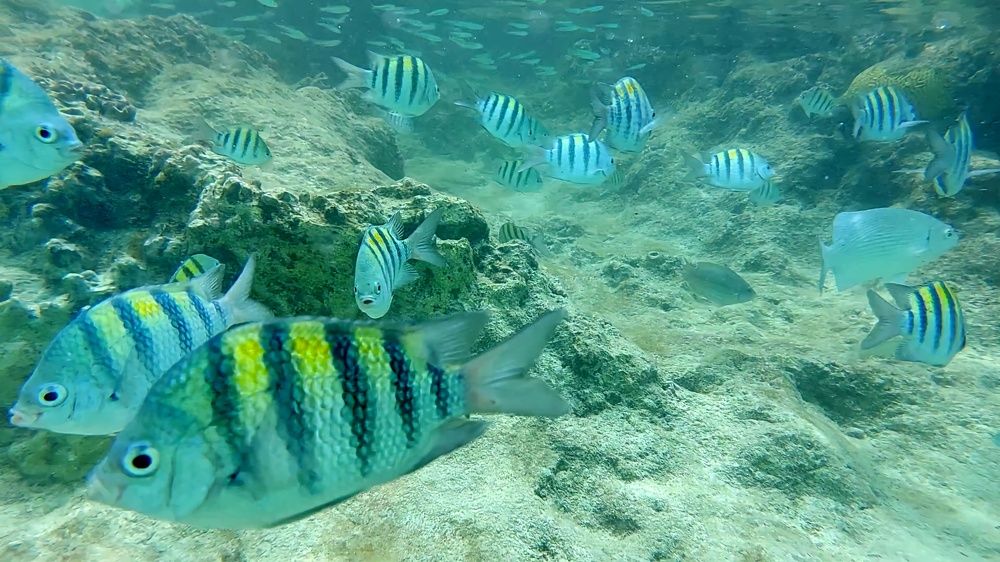 Photograph by Nora Cheprasova