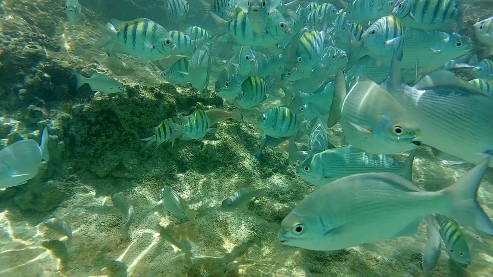 Photograph by Nora Cheprasova