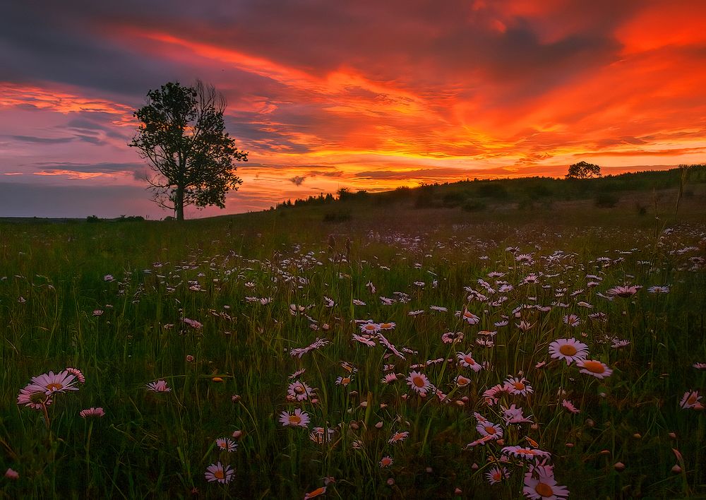 Photograph by Владимир