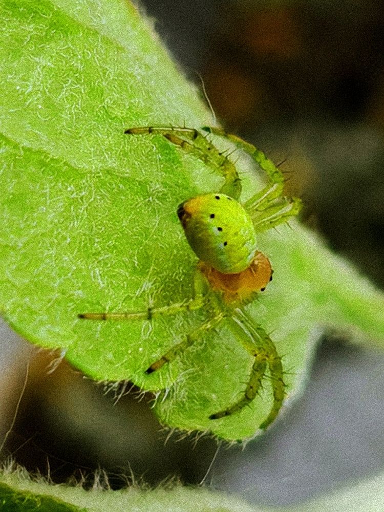 Photograph by Maria Stankevich