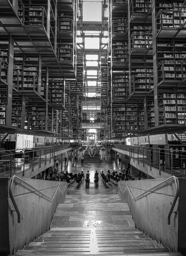 Photograph by Marcos