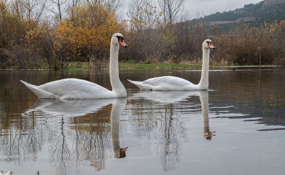Photograph by Савчук Сергей