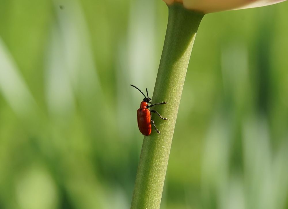 Photograph by сергей мишаков