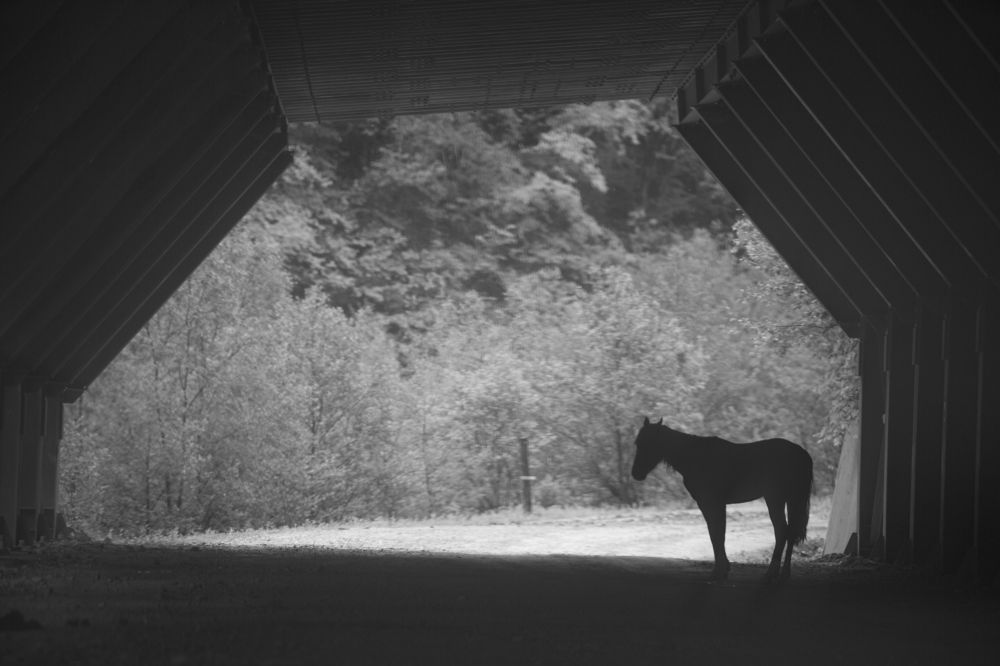 Фотография автора Вазген Бояджян