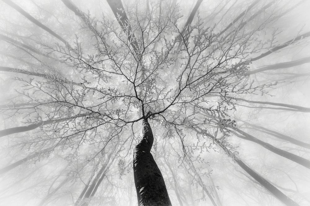 Photograph by Pavlasek Tom