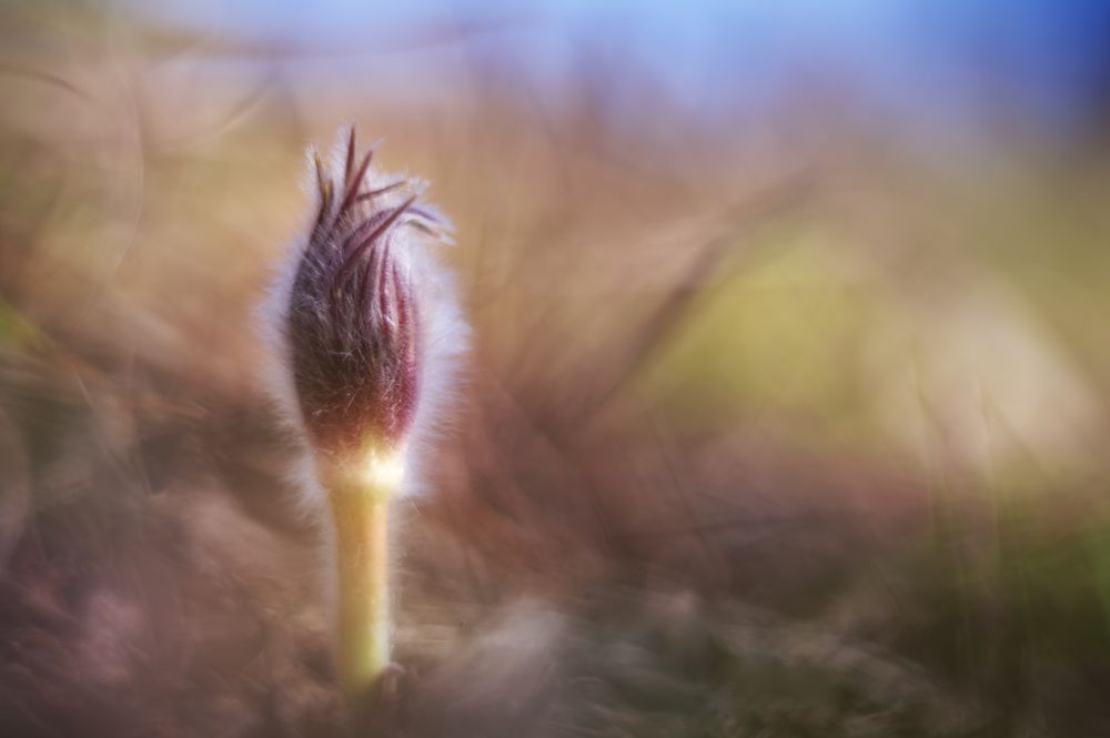 Photograph by Светлана Андреева