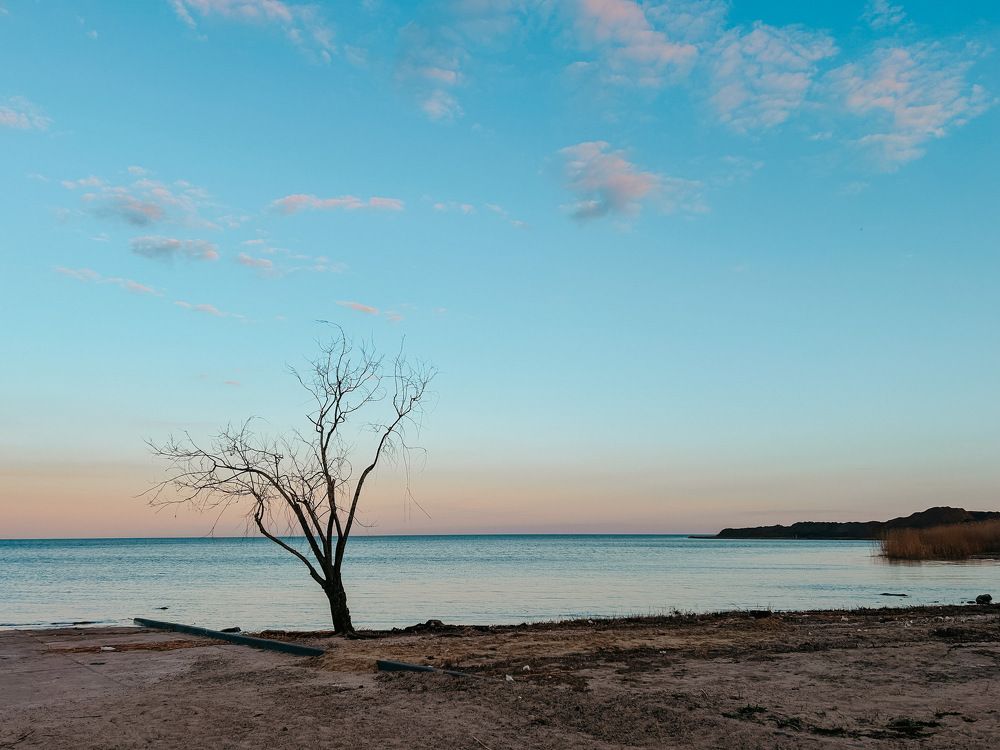 Photograph by Оксана Богачёва