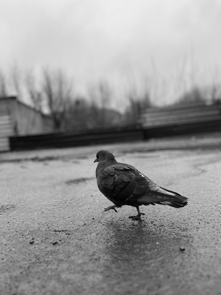 Photograph by Егорова Оксана