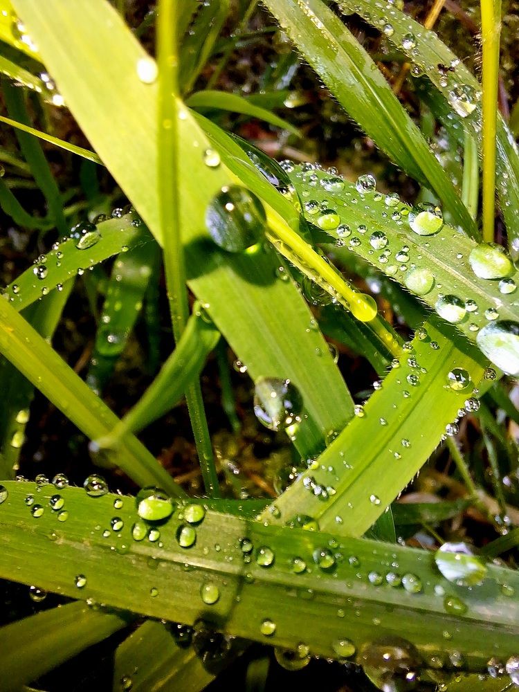 Photograph by Igor Chechin