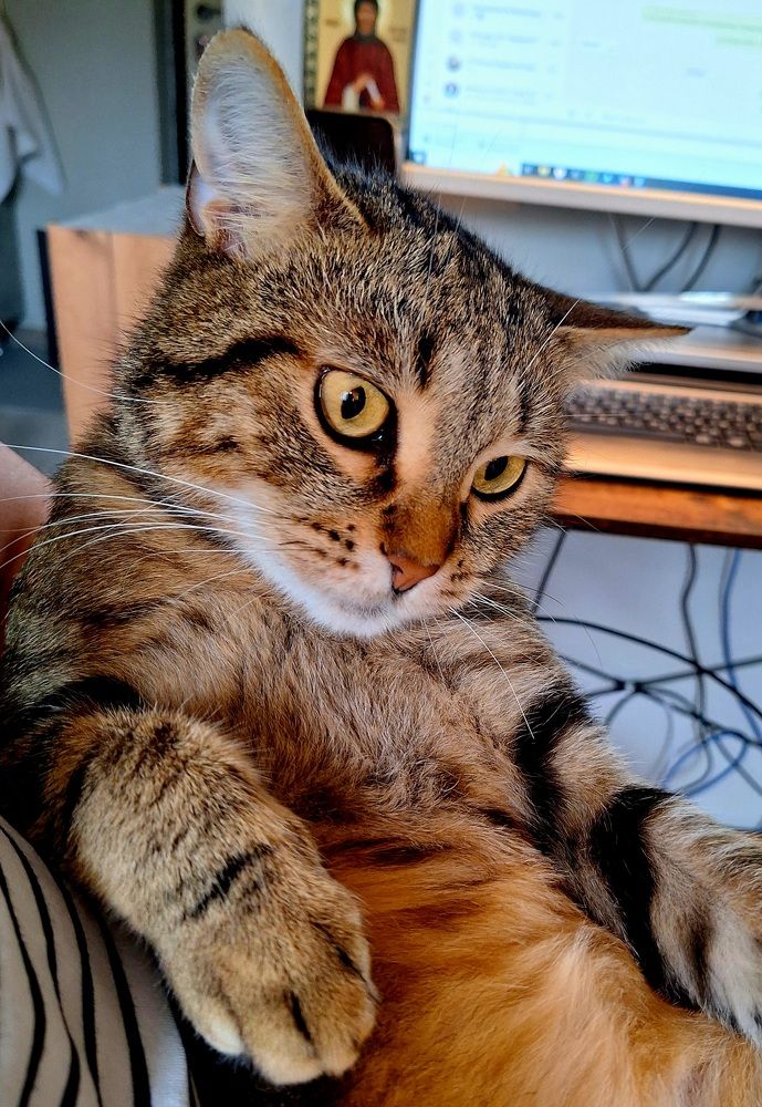 Photograph by Igor Chechin