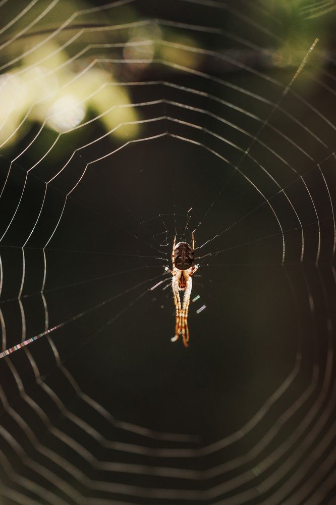 Photograph by Екатерина Овсянникова