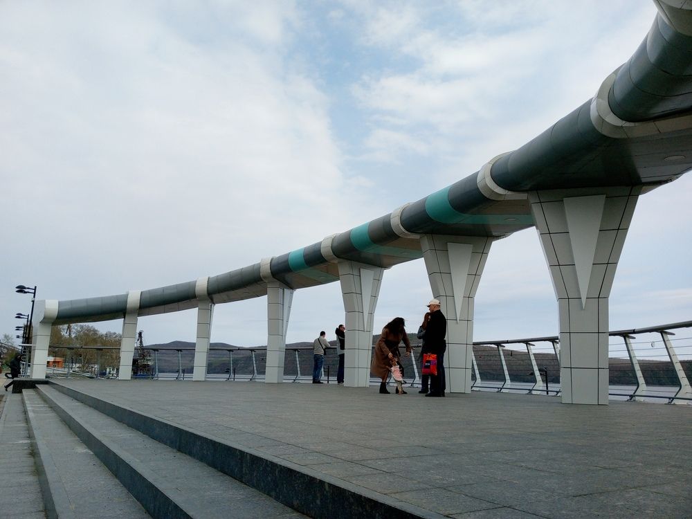 Photo #10576454