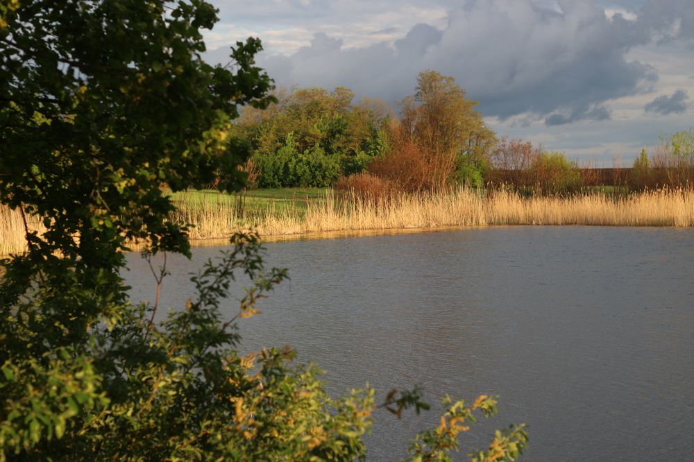 Photograph by АЛЛА ТАРАСЕНКО