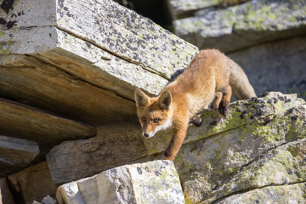 Photograph by Marco Rondi