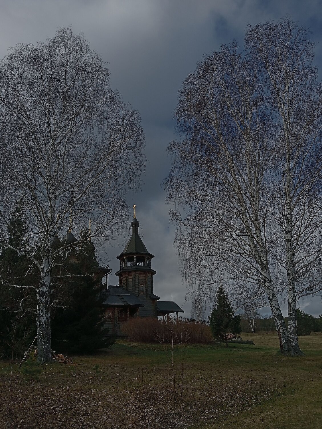 Photo #10576552