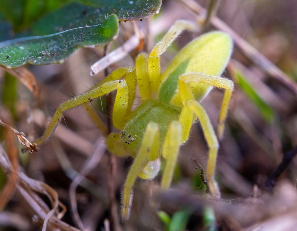 Photograph by Алексей Миронов