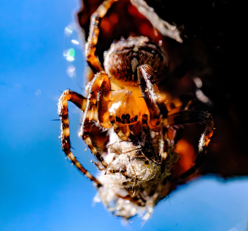 Photograph by Алексей Миронов