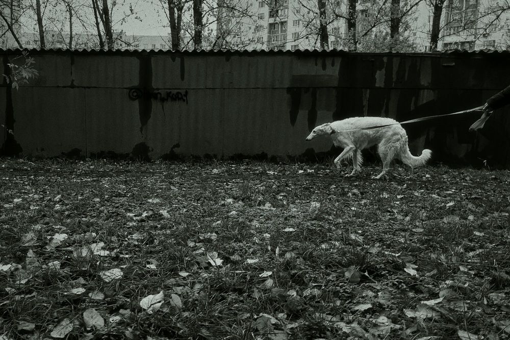 Photograph by Дмитрий Николаев