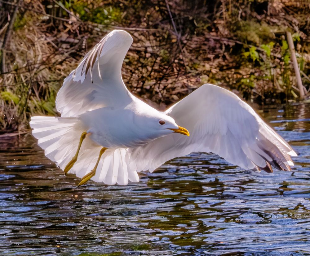 Photograph by Алексей Миронов