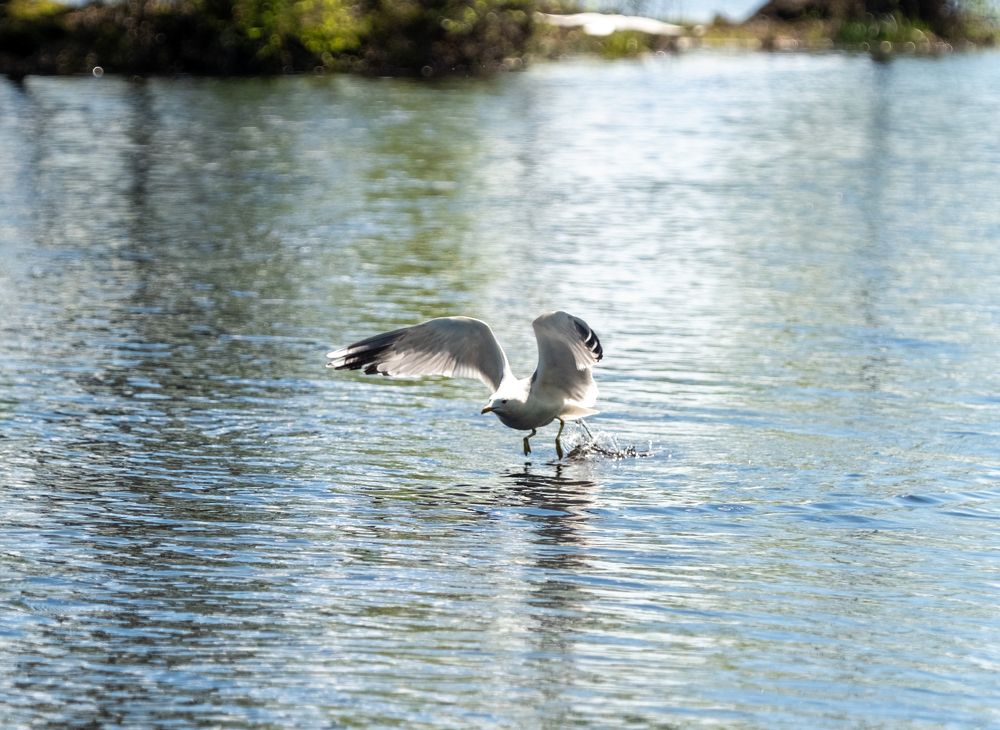 Photograph by Алексей Миронов