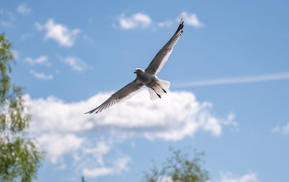 Photograph by Алексей Миронов