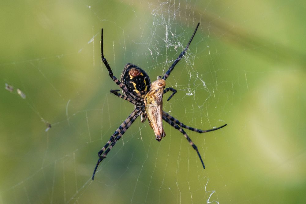 Photograph by Francisco José López Fernández