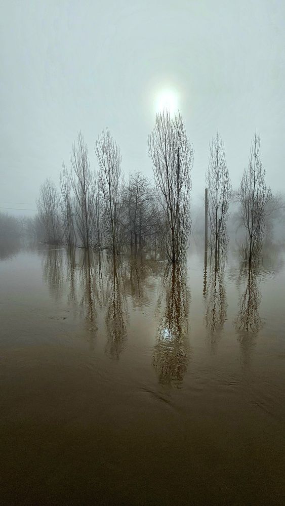 Photograph by Наталья Анисимова